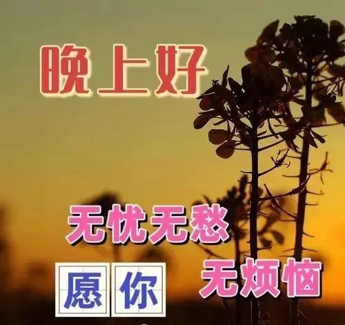 晚上好,晚安