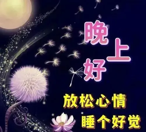 晚上好,晚安