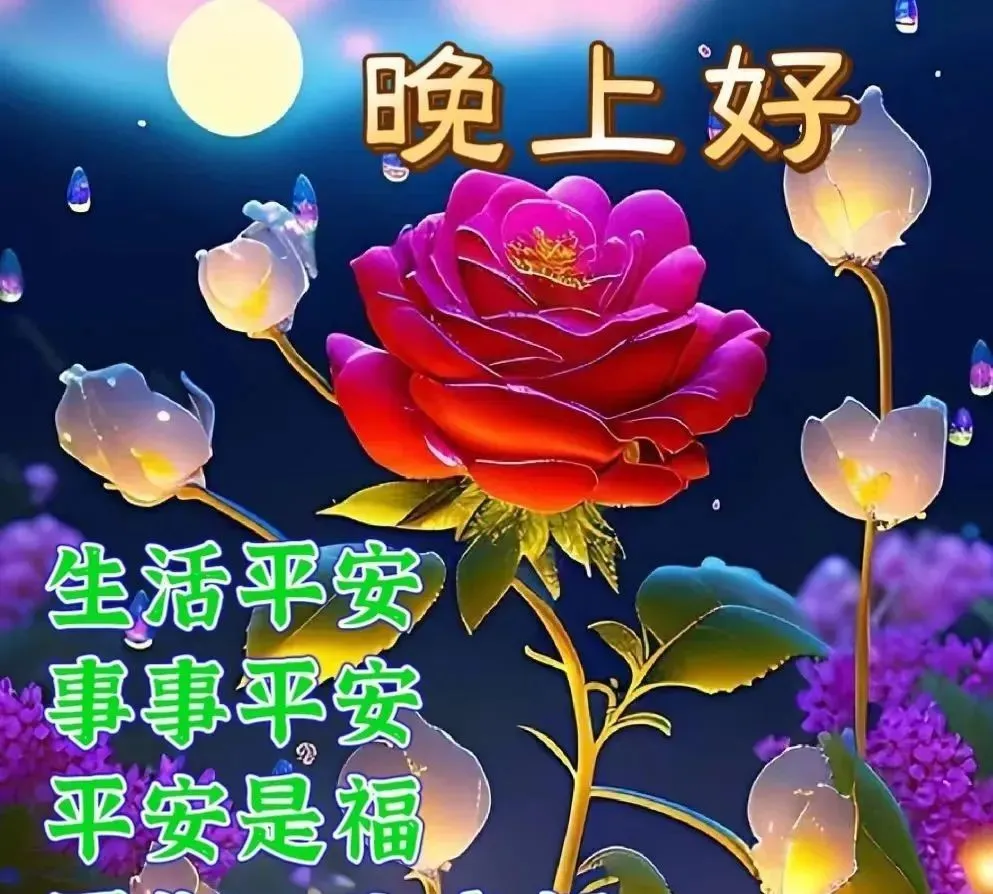 晚上好,晚安
