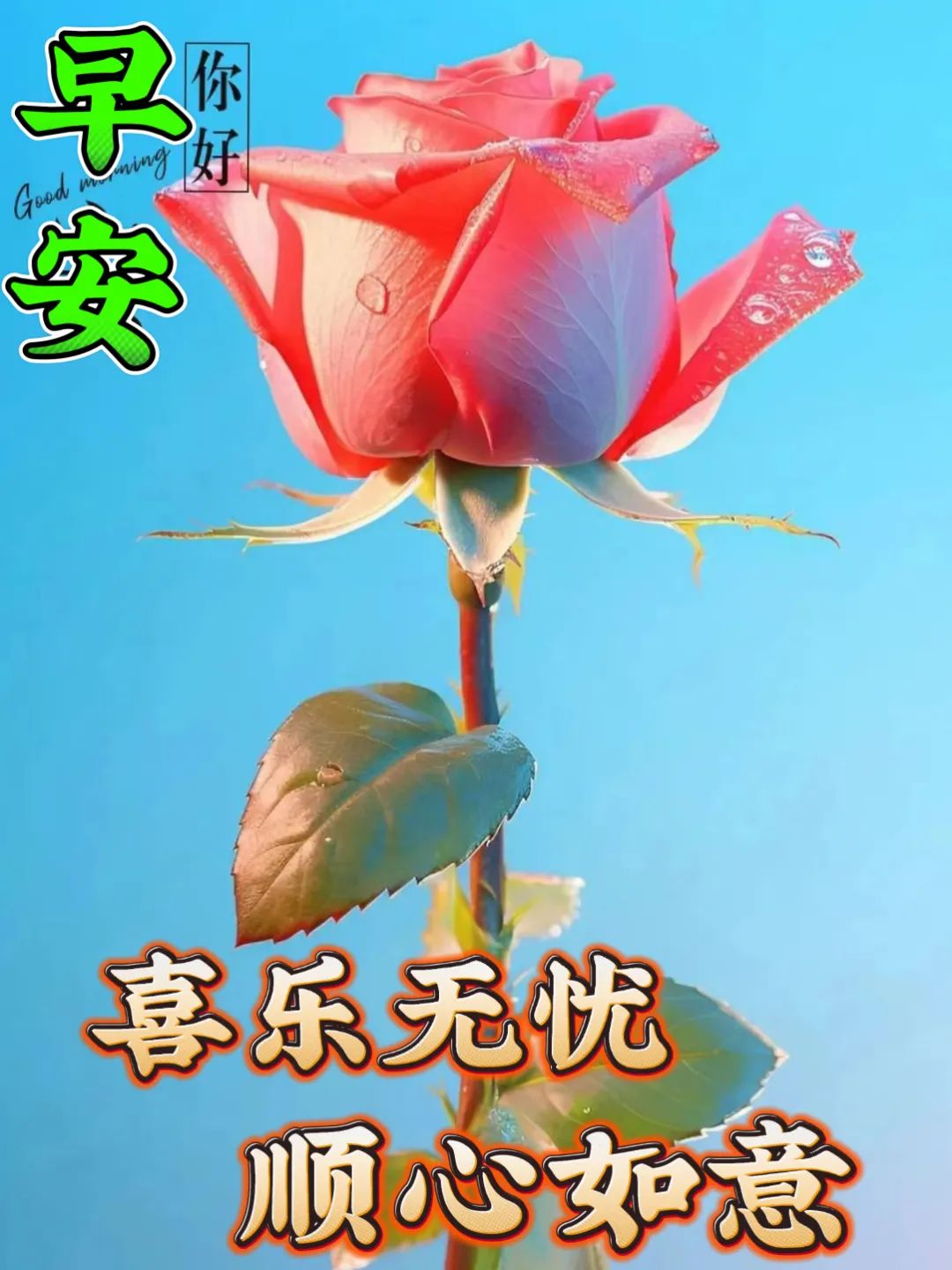 早安,早上好,上午好