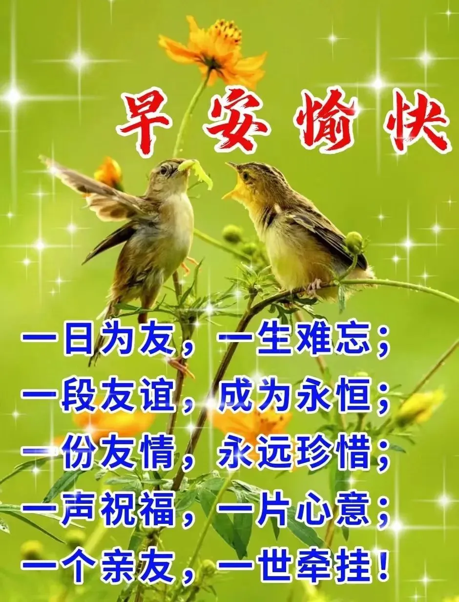 早安,早上好,上午好