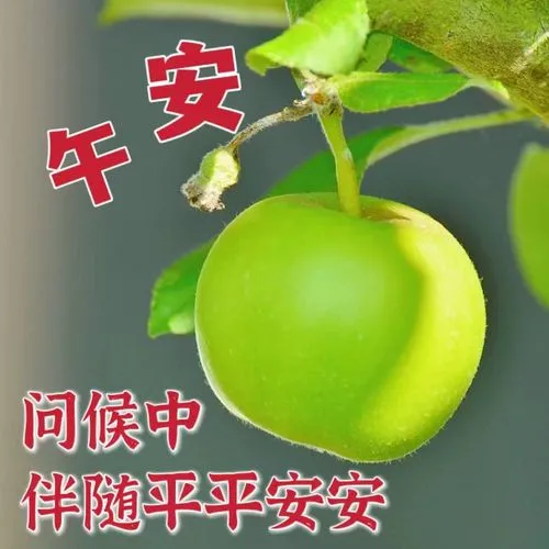 中午好,午安
