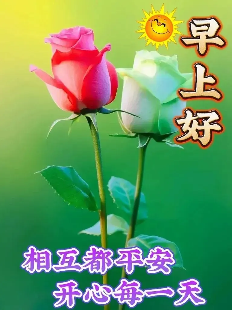 早安,早上好,上午好