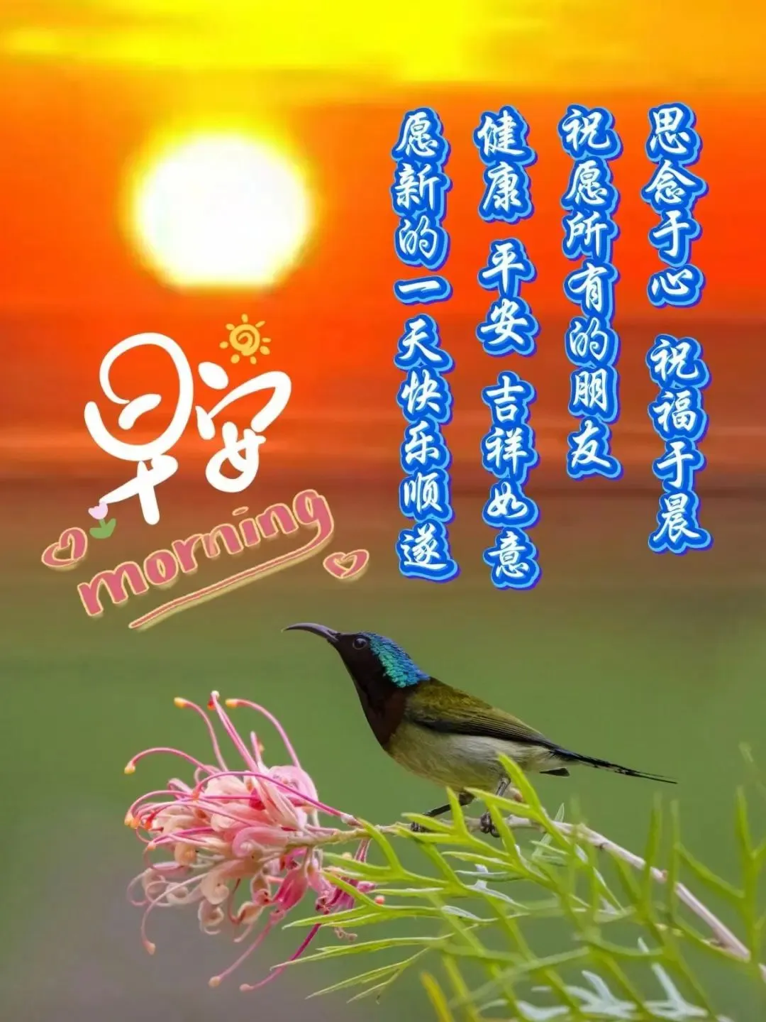 早安,早上好,上午好