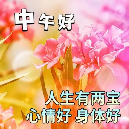 中午好,午安