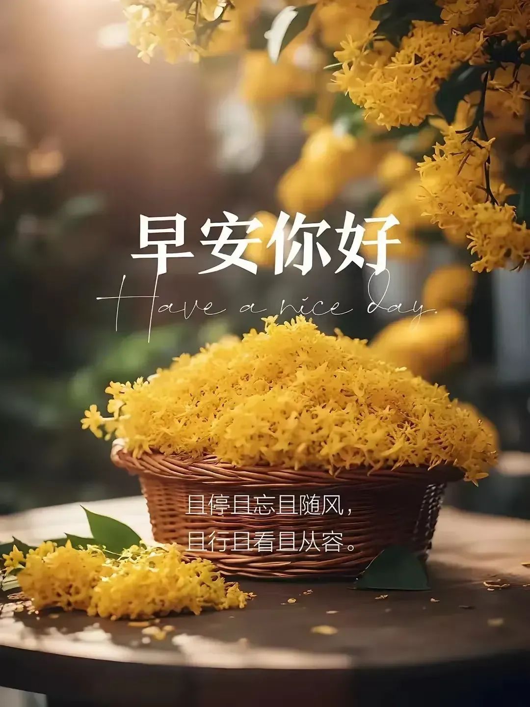 早安,早上好,上午好