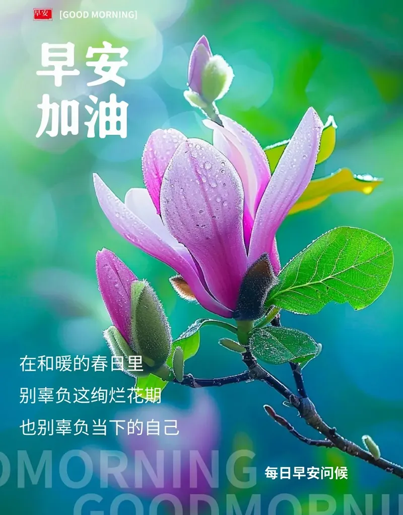 早安,早上好,上午好