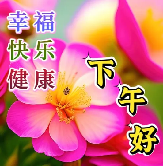 下午好