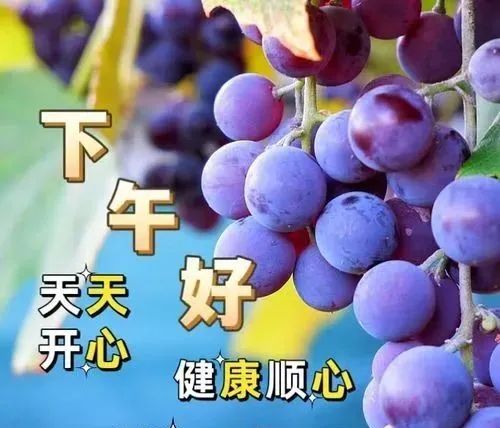 下午好
