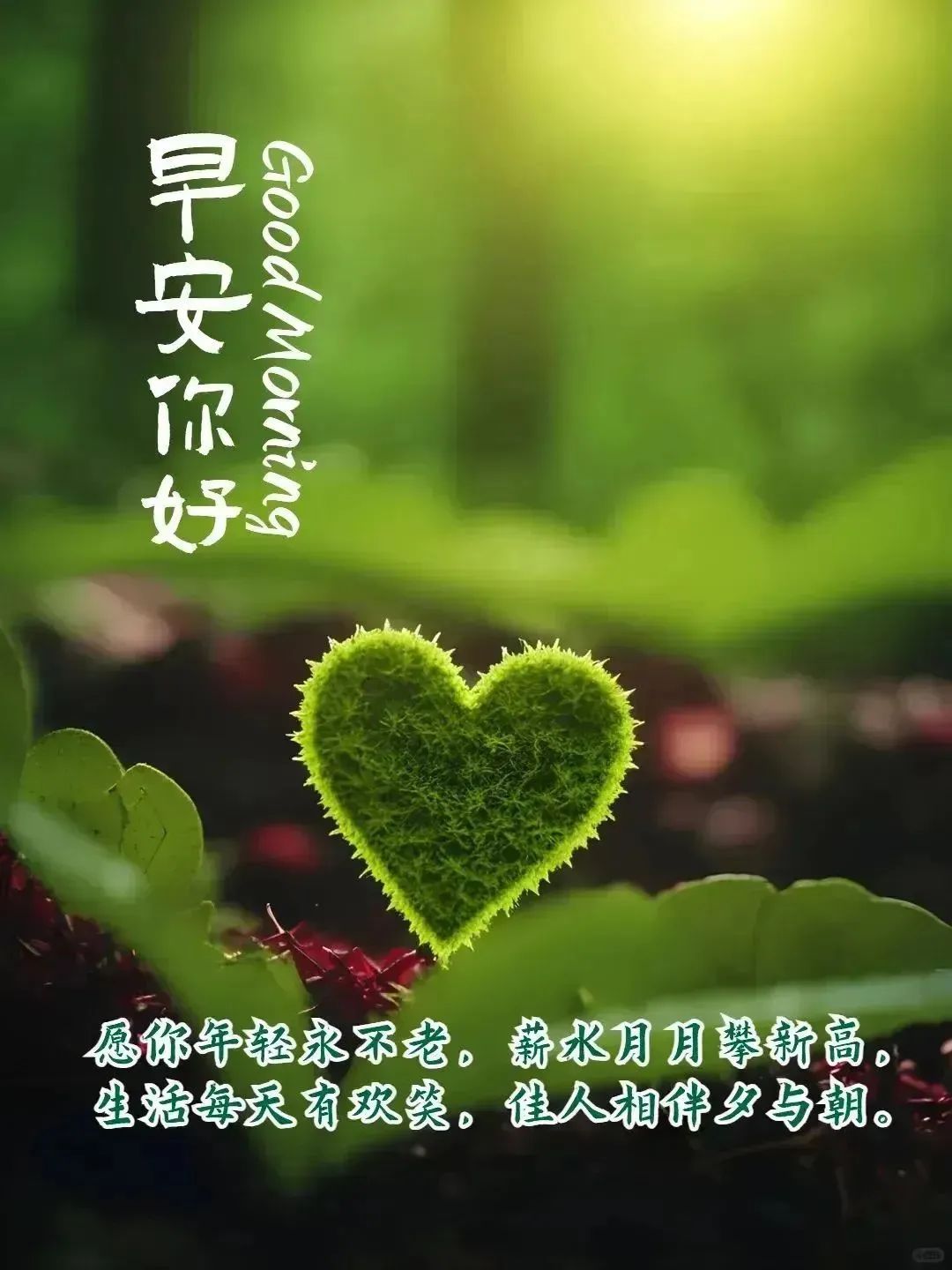 早安,早上好,上午好