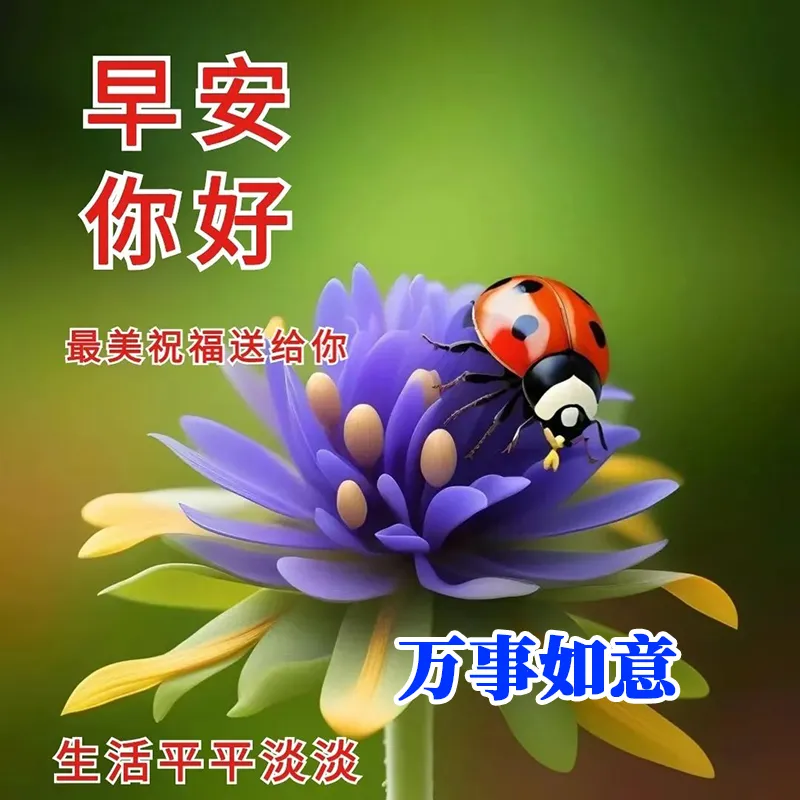 早安,早上好,上午好