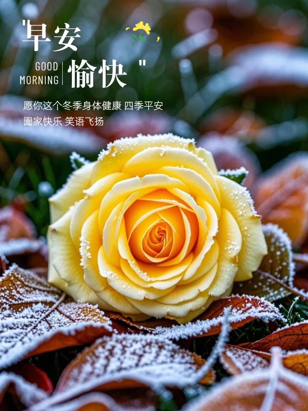 早安,早上好,上午好