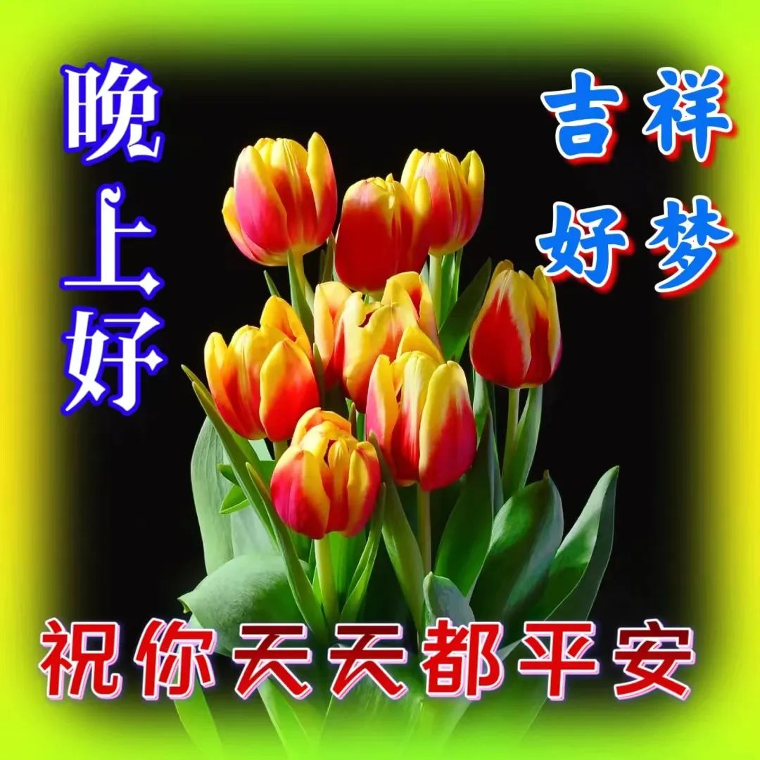 晚上好,晚安