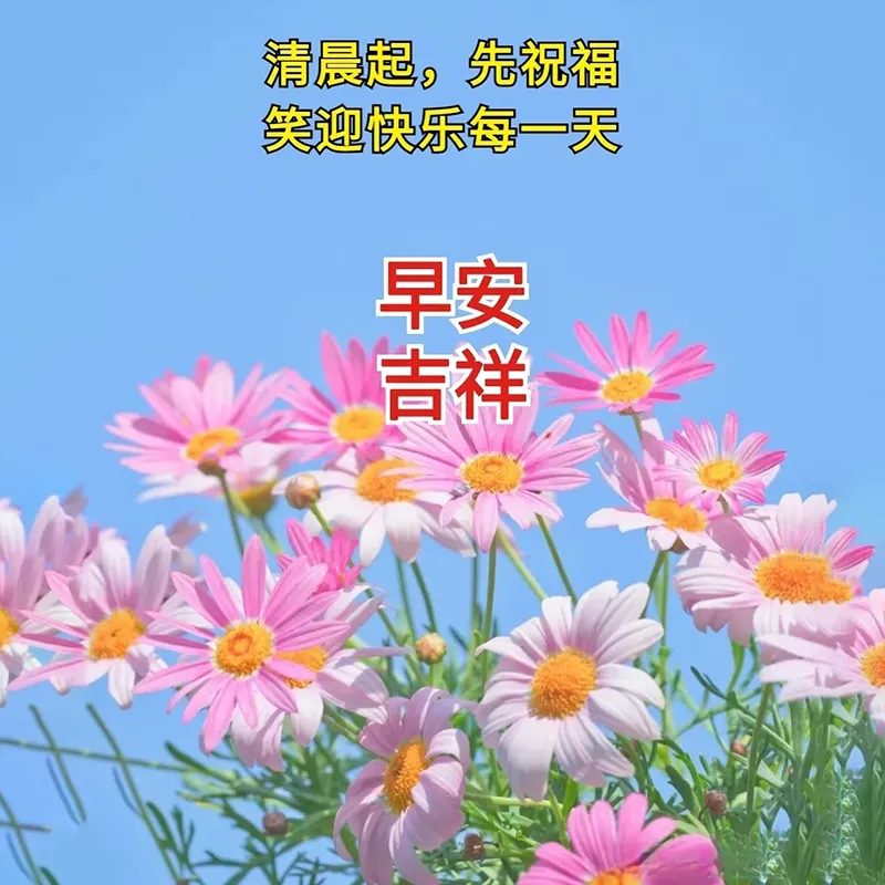 早安,早上好,上午好