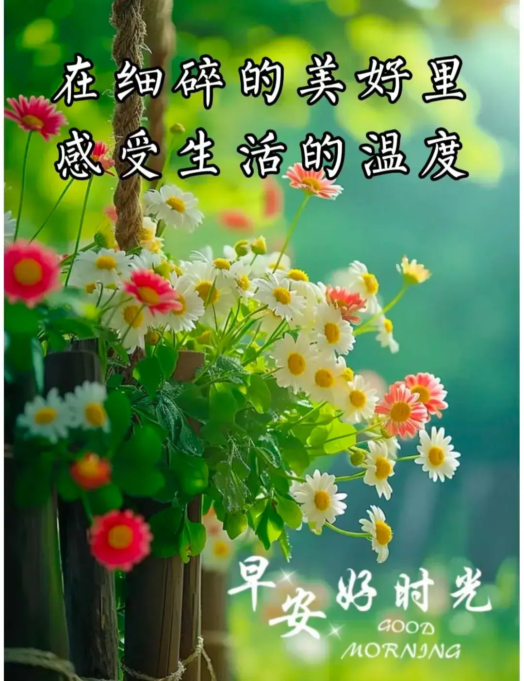 早安,早上好,上午好