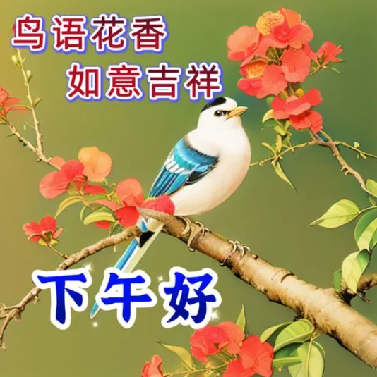 14张下午好,下午好简单最新祝福语,下午好!祝愿富贵吉祥