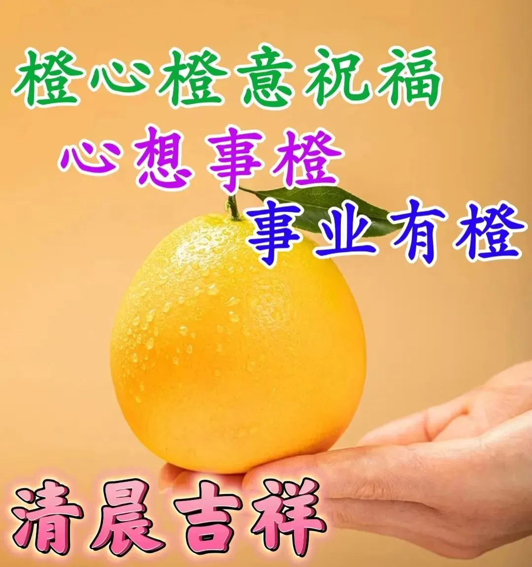 早安,早上好,上午好