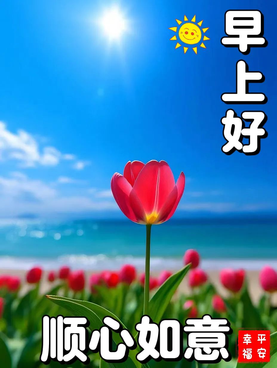 今日最新上午好祝福语精选，上午好，愿你的心情如朝阳般明媚。