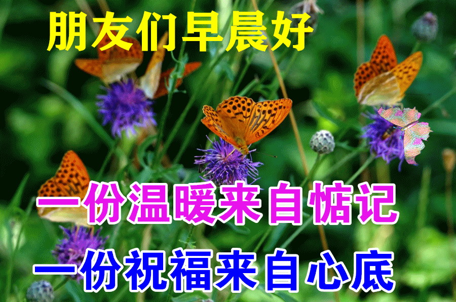 早安,早上好,上午好