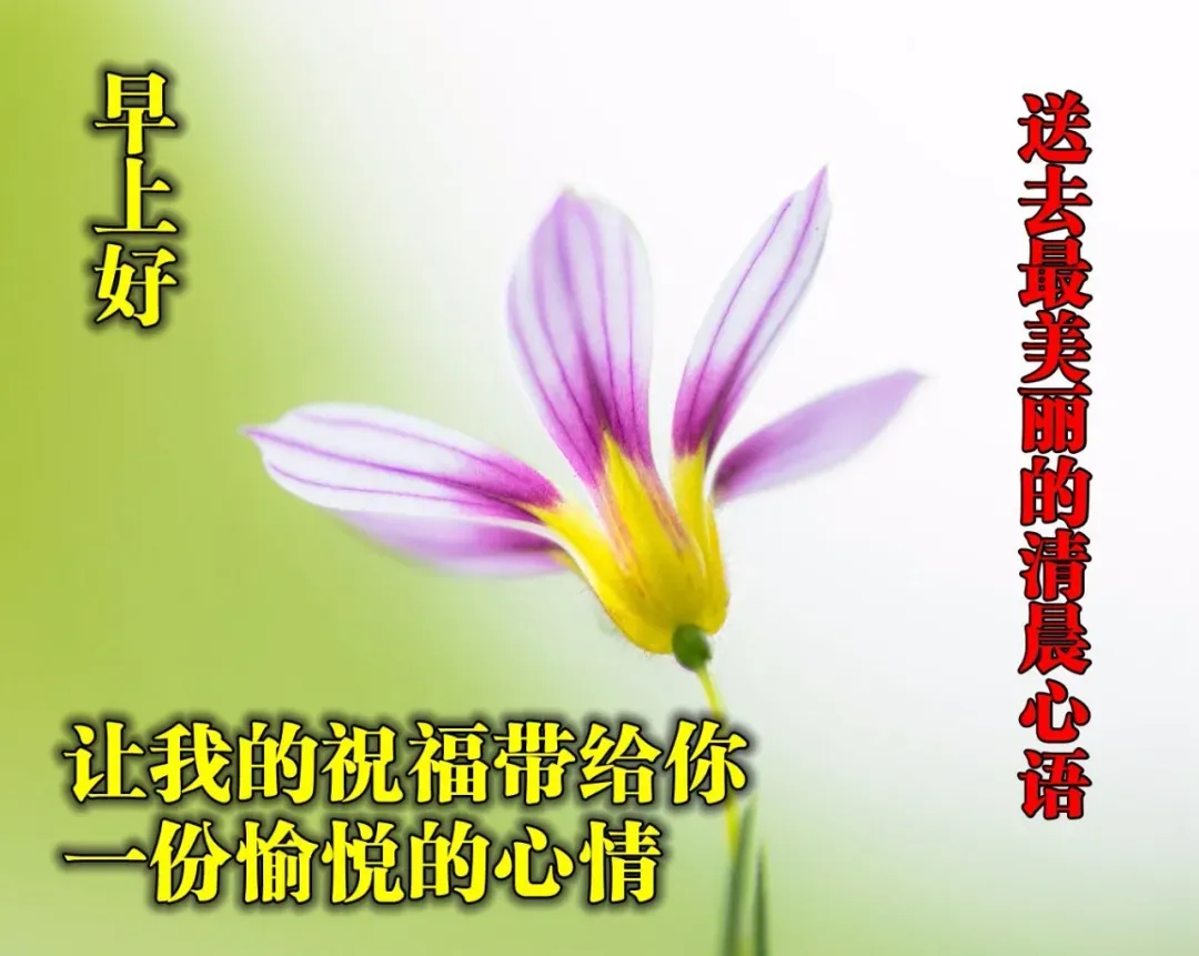 早安,早上好,上午好