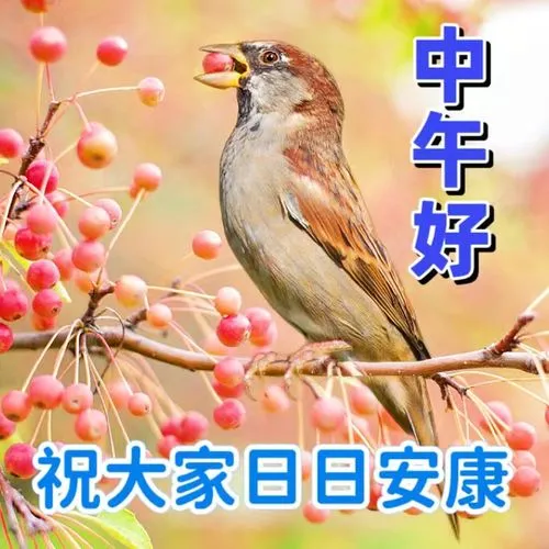 中午好,午安