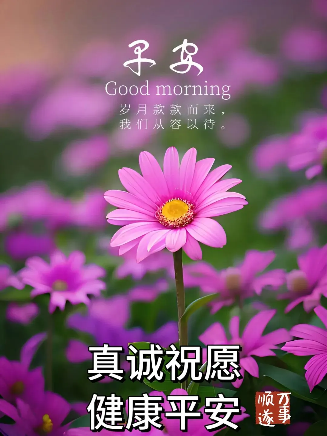 早安,早上好,上午好