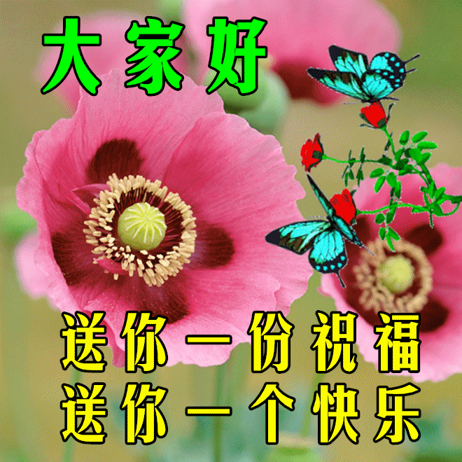 上午好