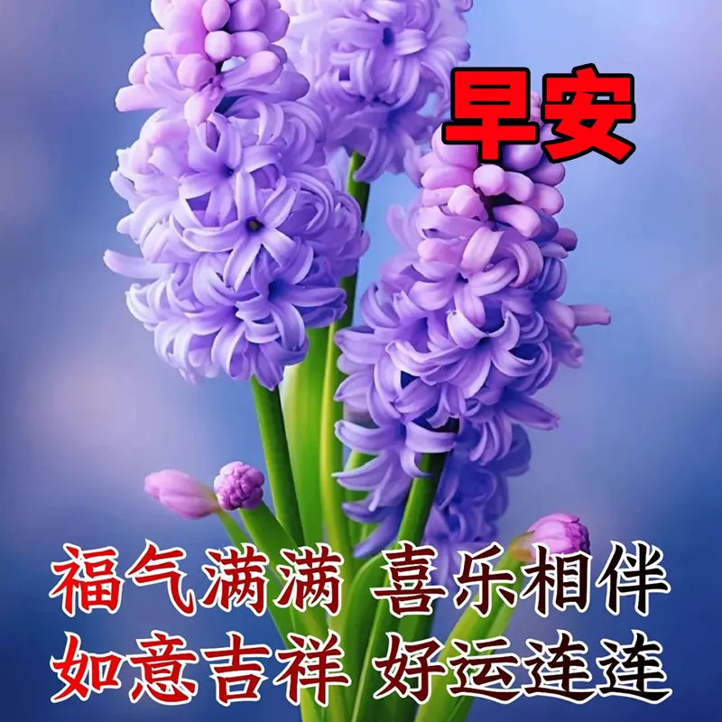 早安,早上好,上午好