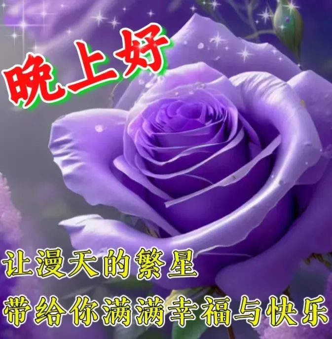 晚上好,晚安