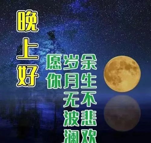 晚上好,晚安