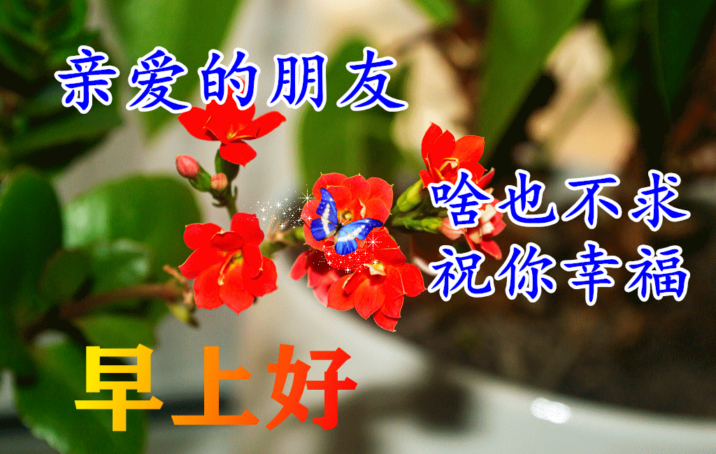 早安,早上好,上午好