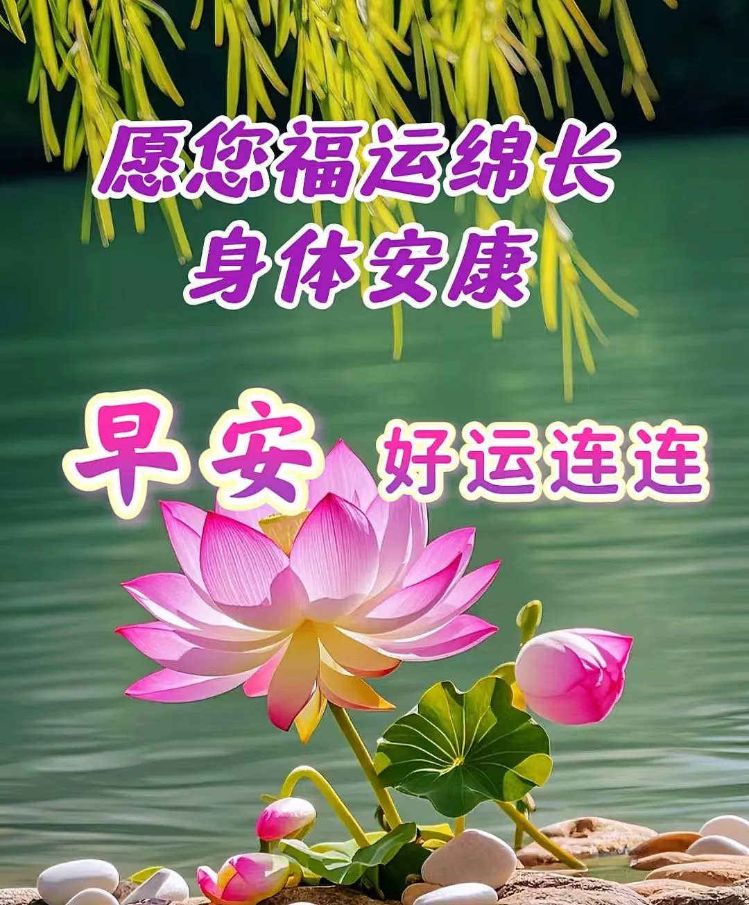 早安,早上好,上午好