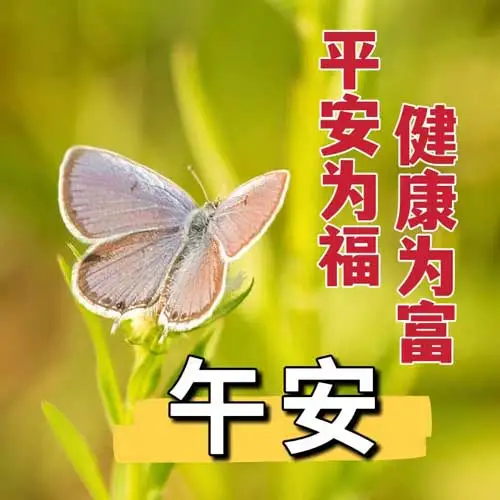 中午好,午安