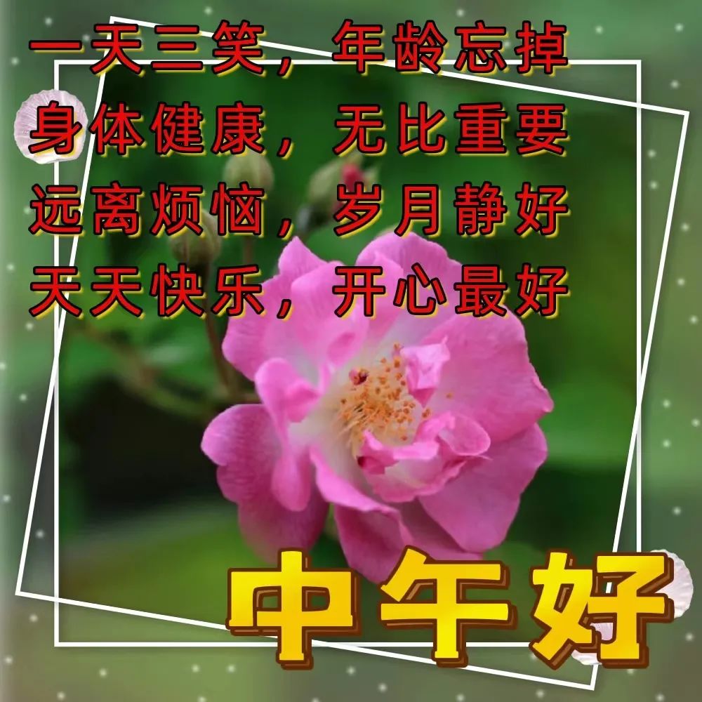 中午好,午安