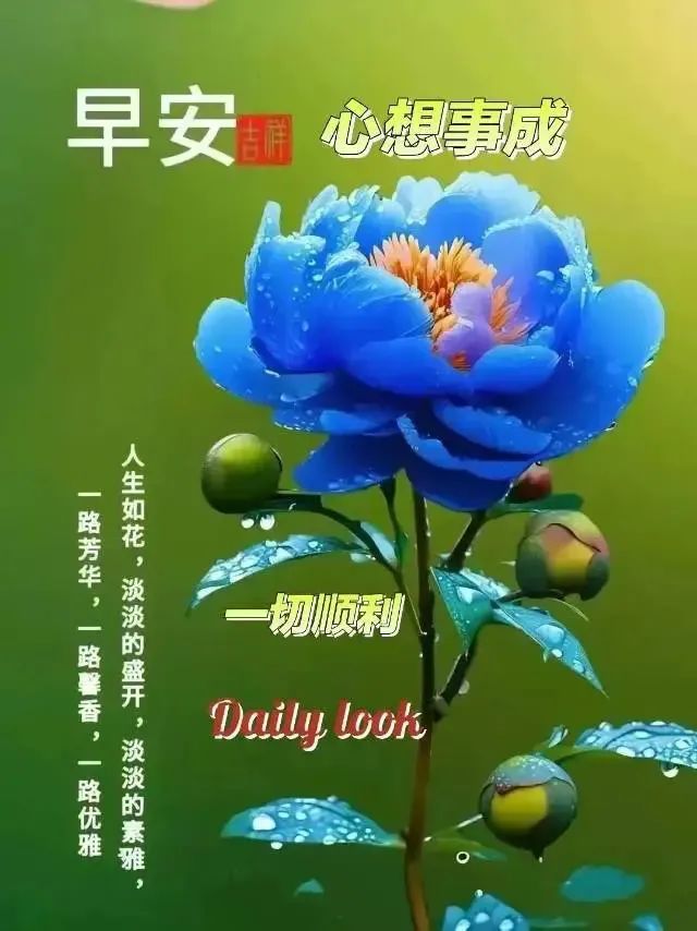 早安,早上好,上午好
