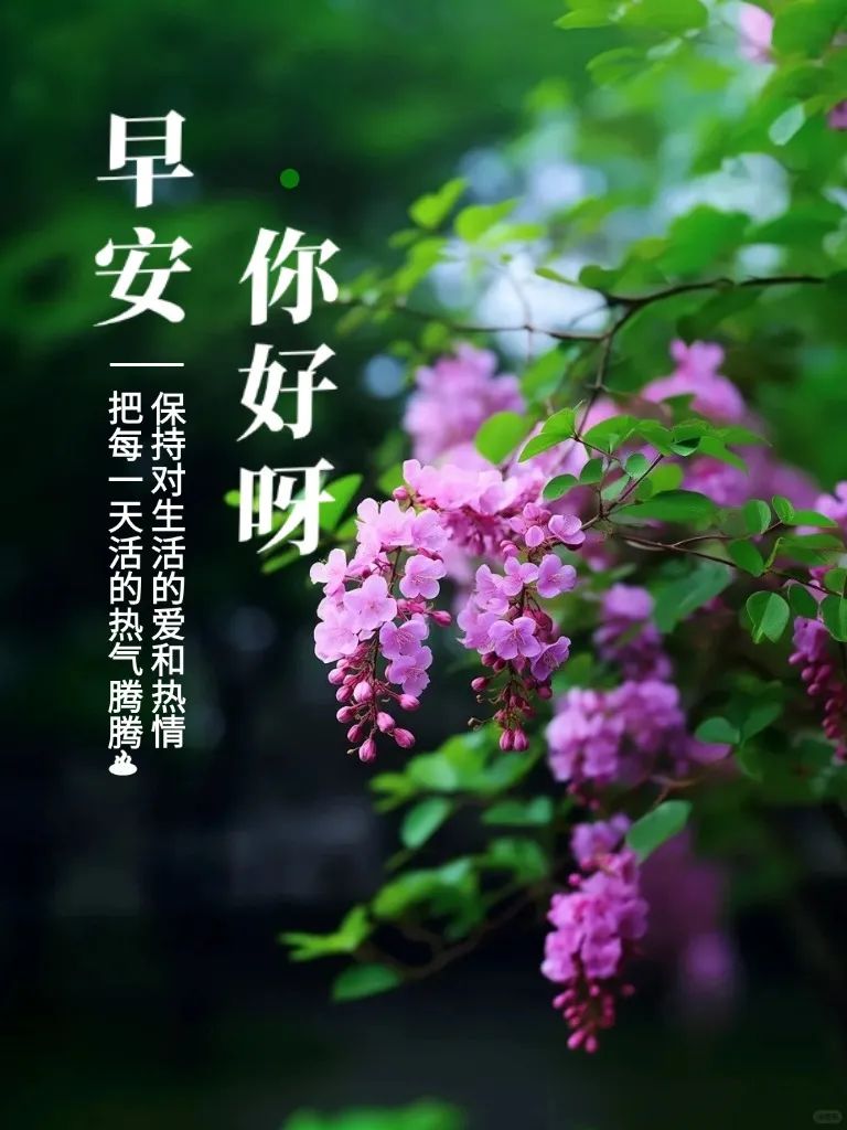 早安,早上好,上午好
