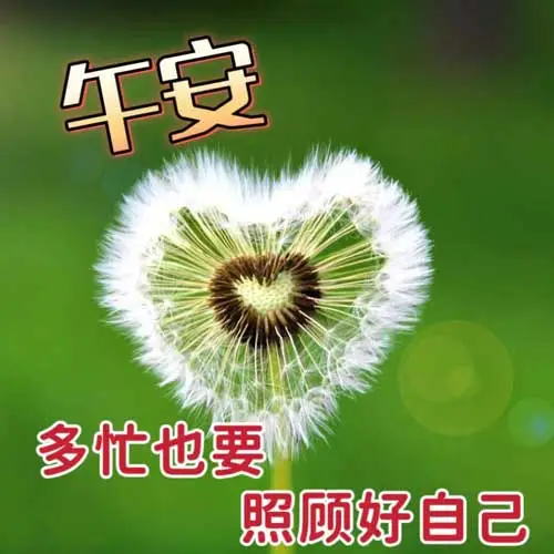 中午好,午安