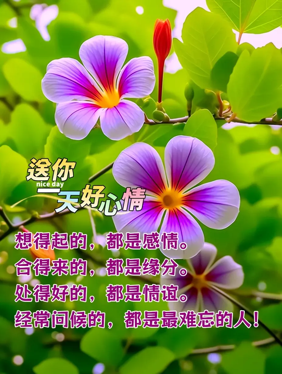 下午好