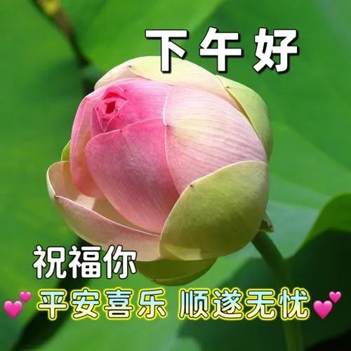 下午好