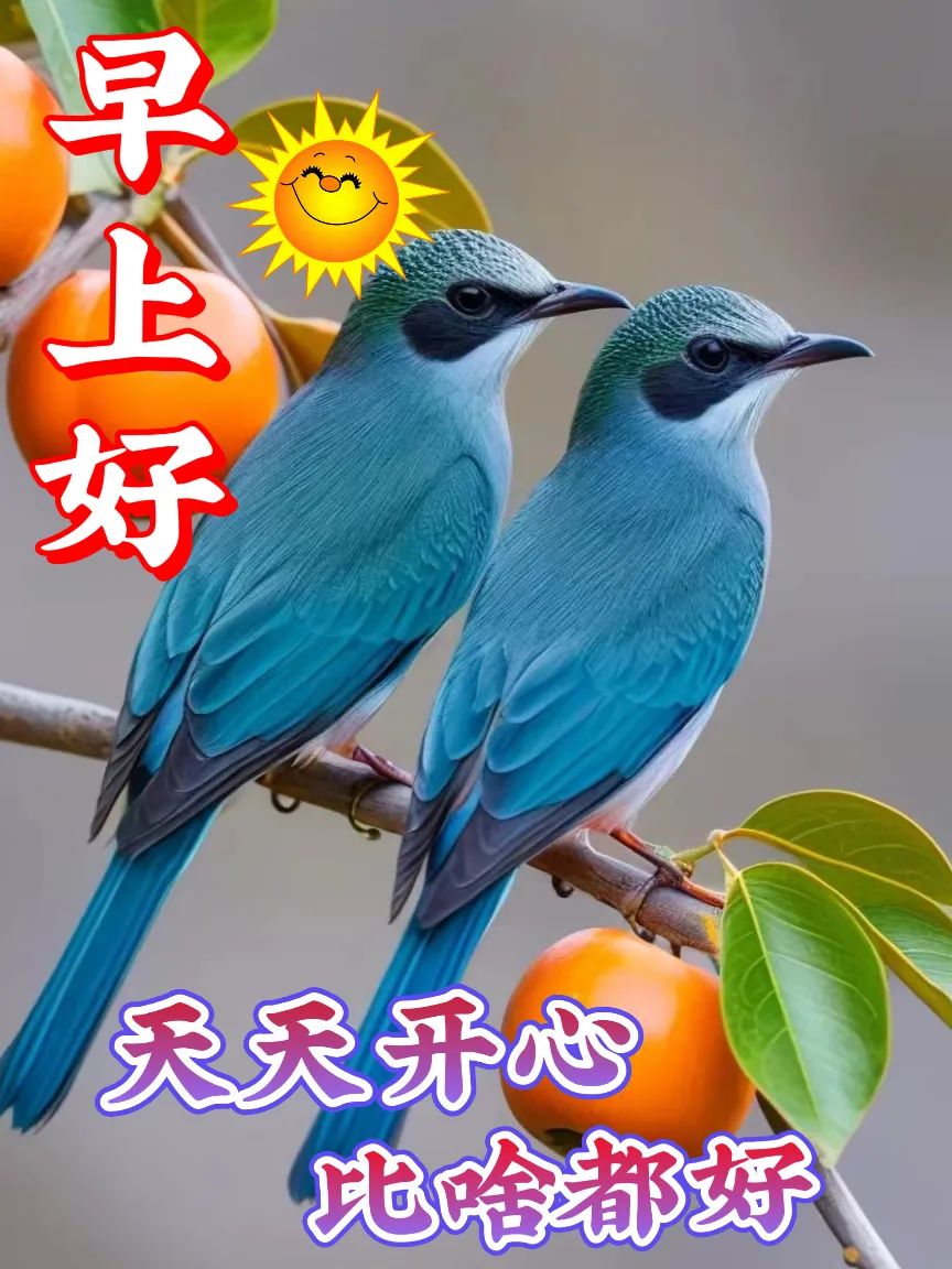 早安,早上好,上午好