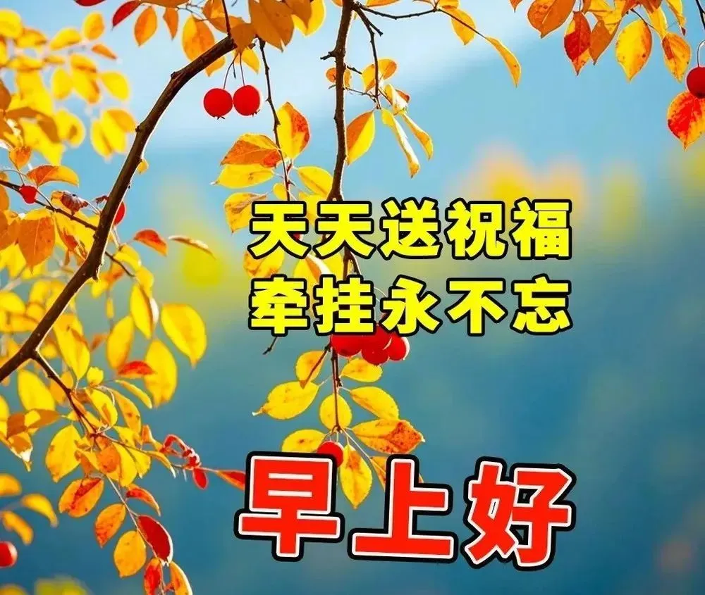 早安,早上好,上午好