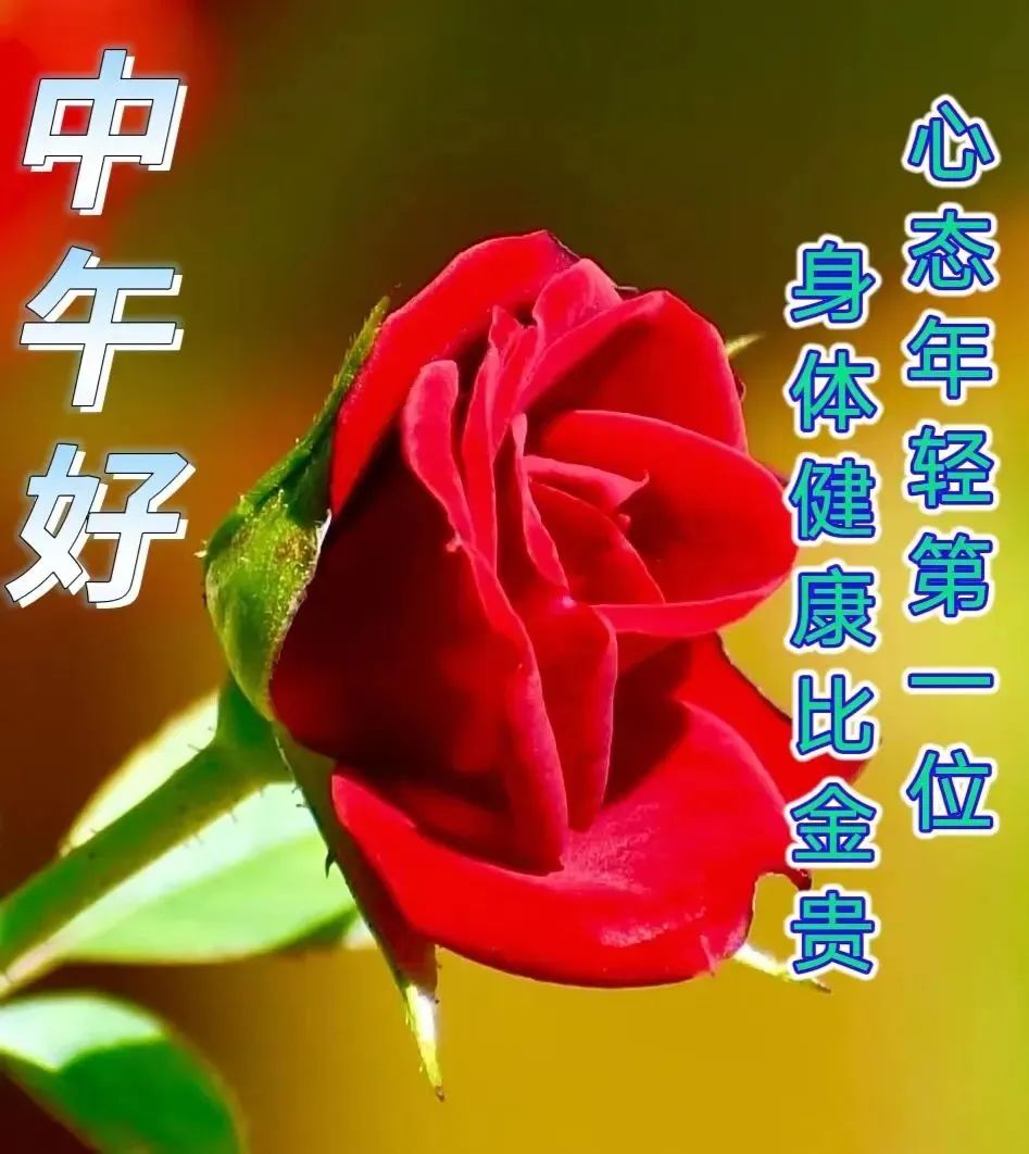 中午好,午安