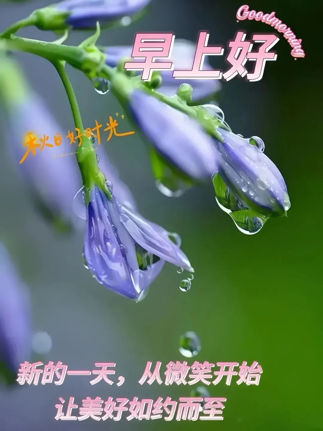 早安,早上好,上午好