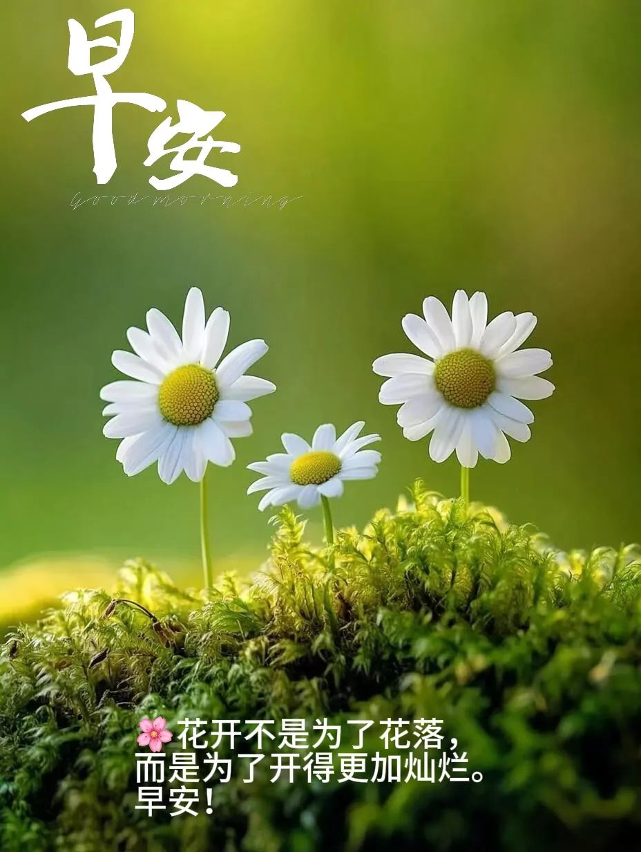 早安,早上好,上午好