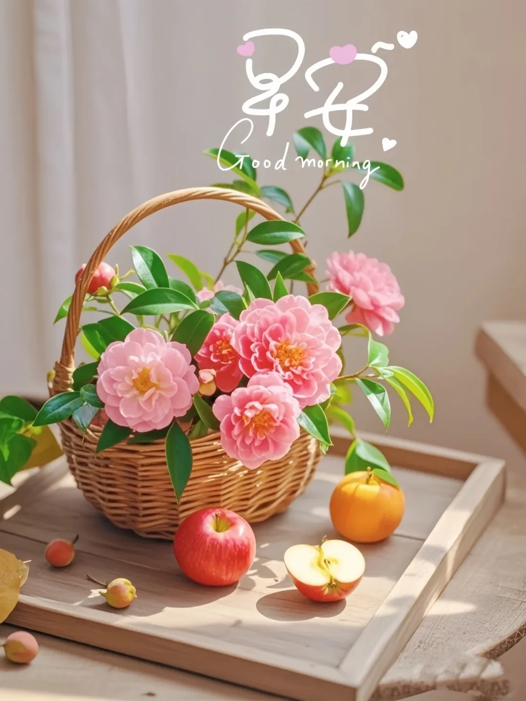 早安,早上好,上午好