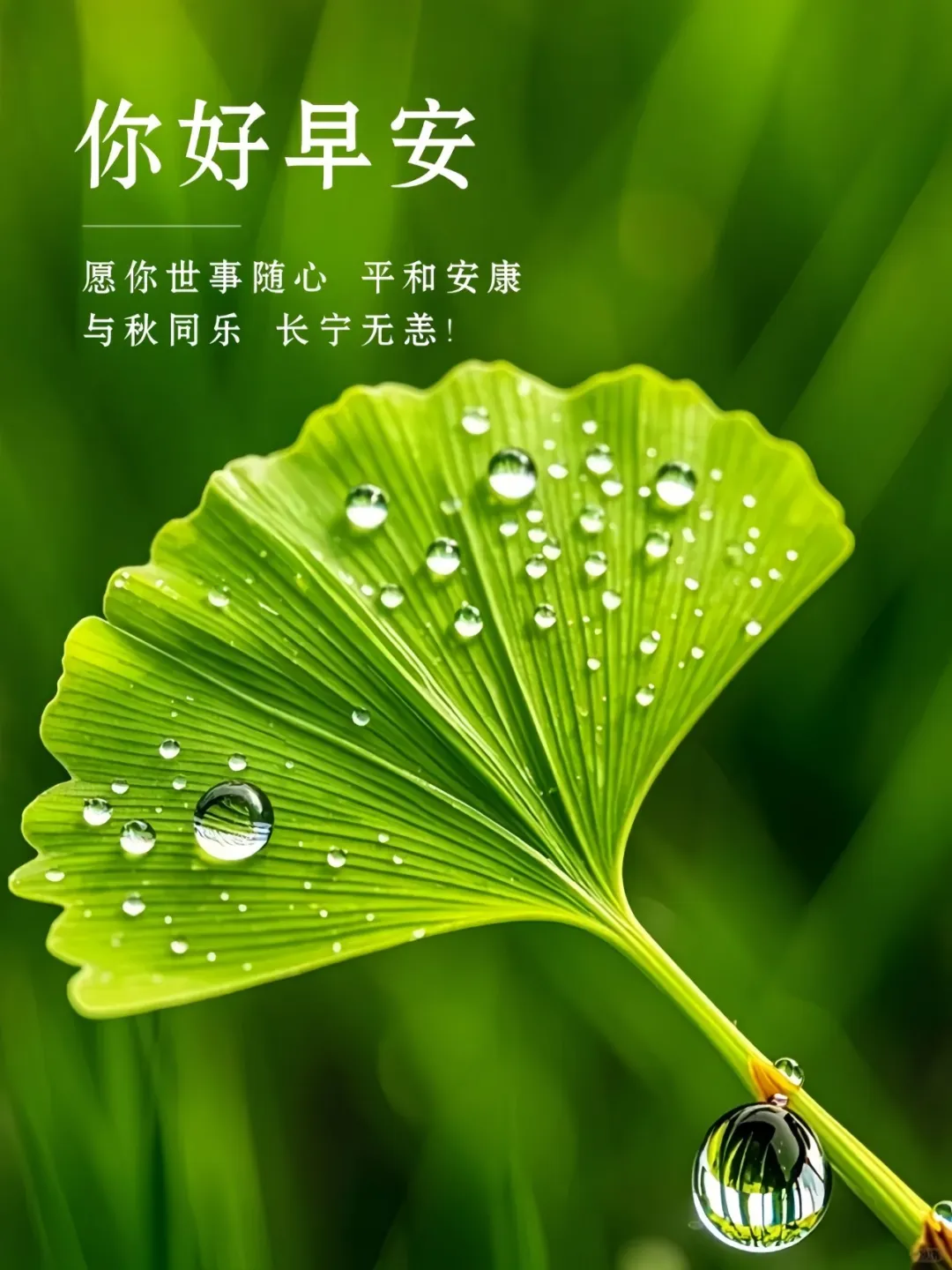 早安,早上好,上午好