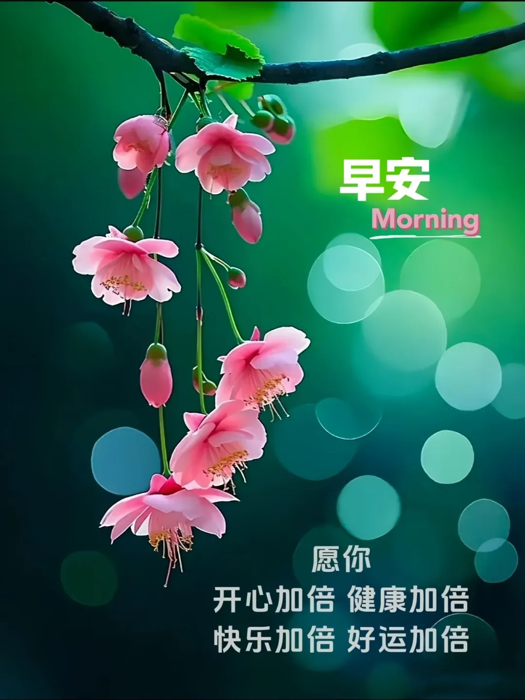 早安,早上好,上午好