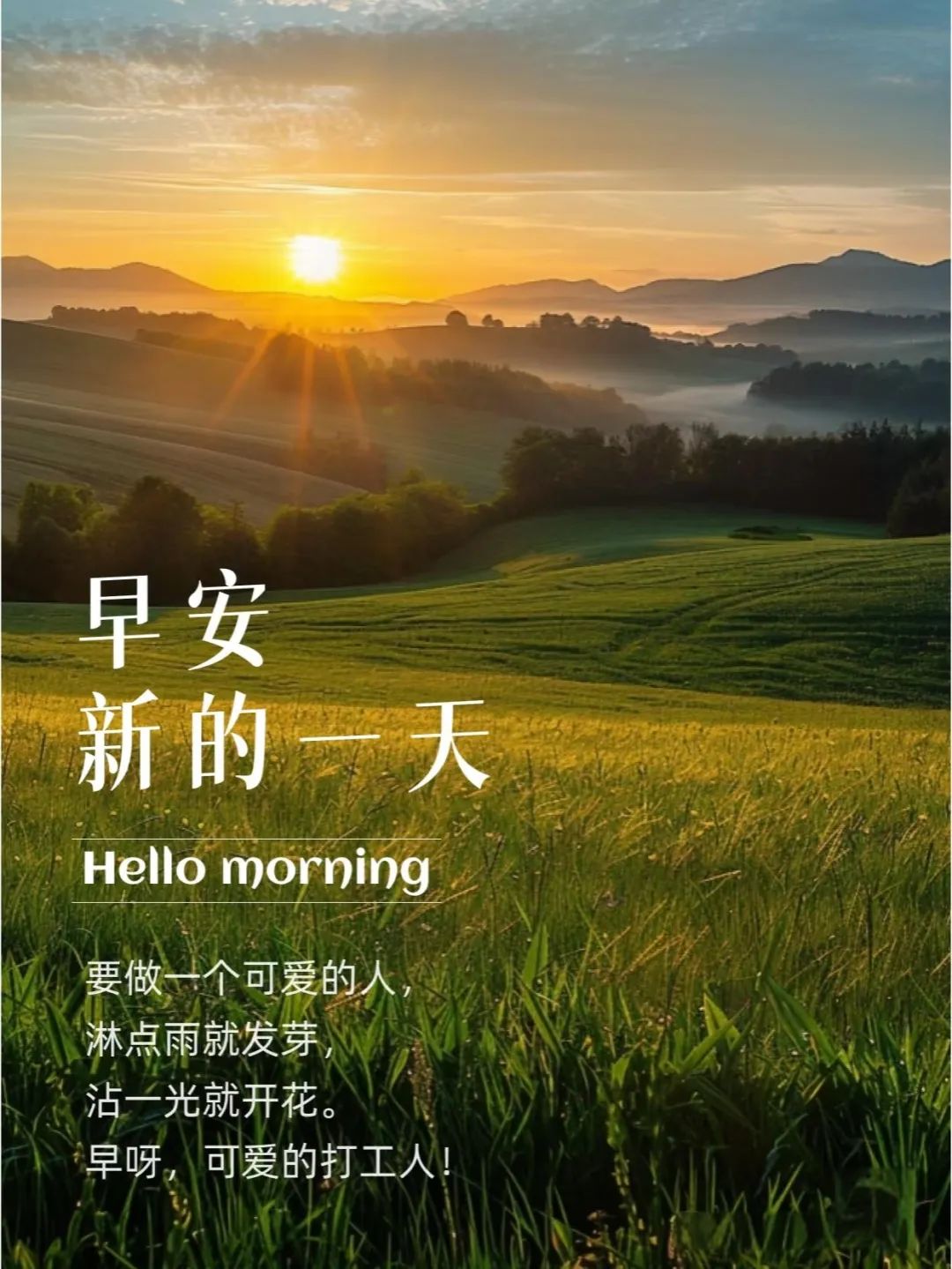 早安,早上好,上午好