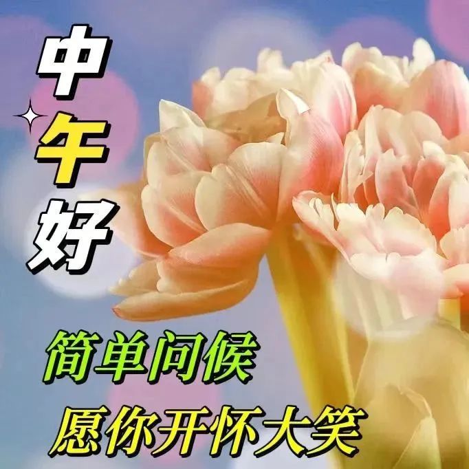 中午好,午安