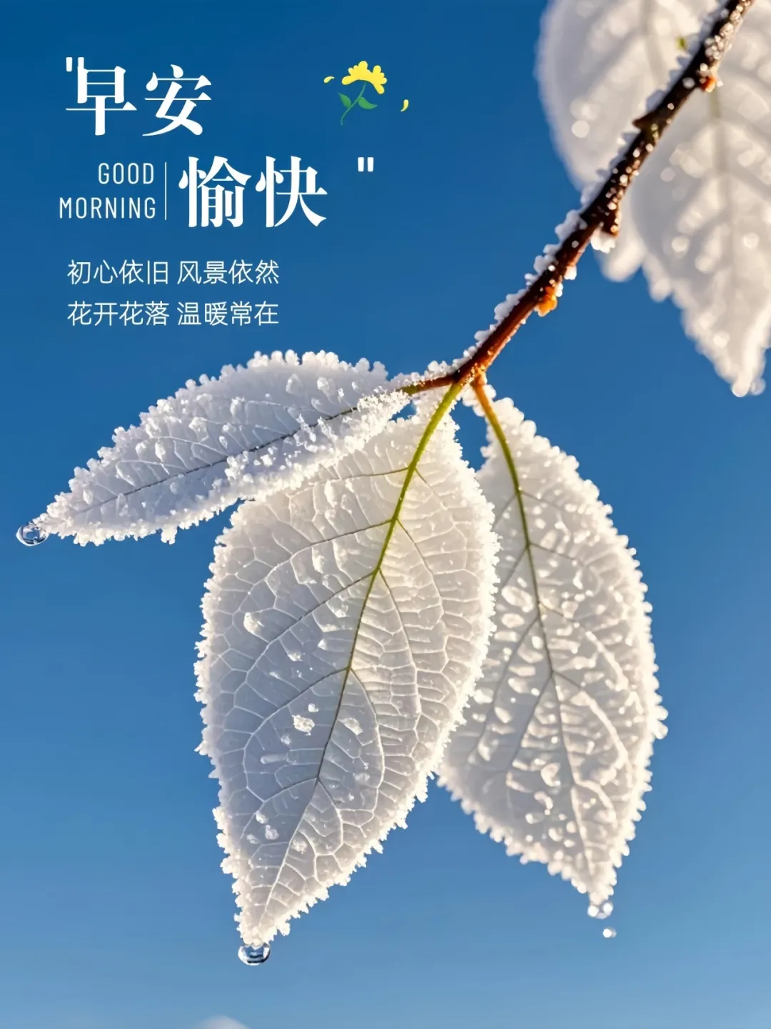 早安,早上好,上午好